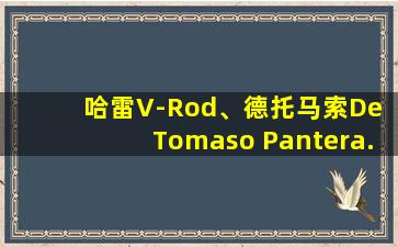 哈雷V-Rod、德托马索De Tomaso Pantera.